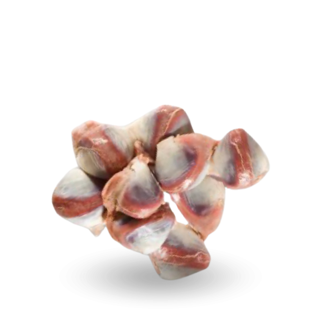 Goose gizzards Żołądki z gęsi.png