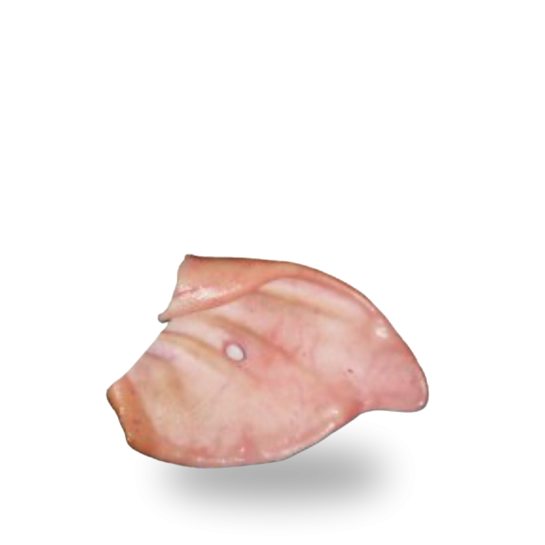 Pork ear flaps Uszy.png