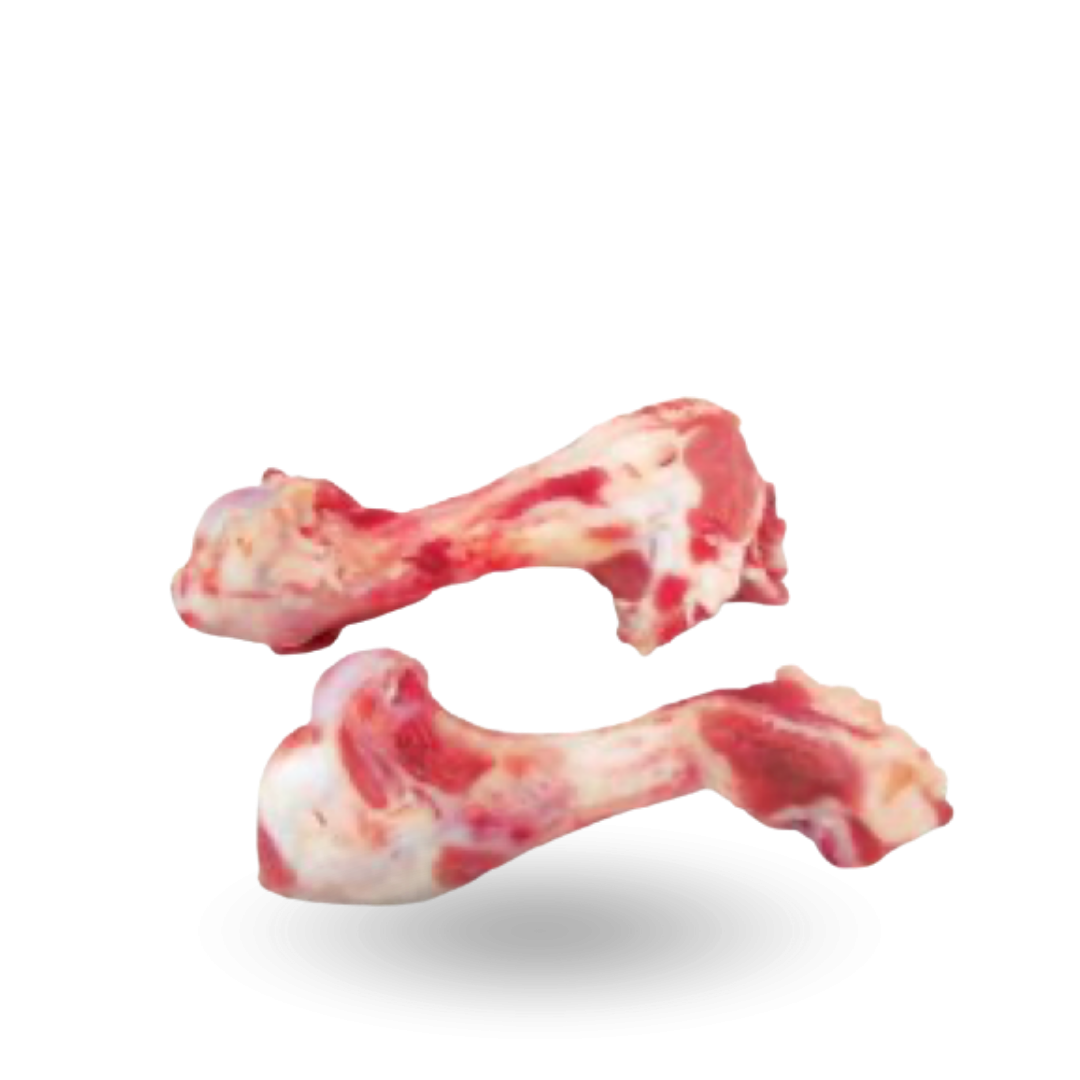 usuniete_tlo Pork humerus bones Kości rurkowe z łopatki.png