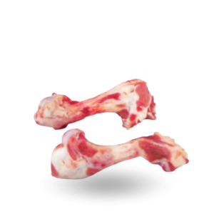 usuniete_tlo Pork humerus bones Kości rurkowe z łopatki.png