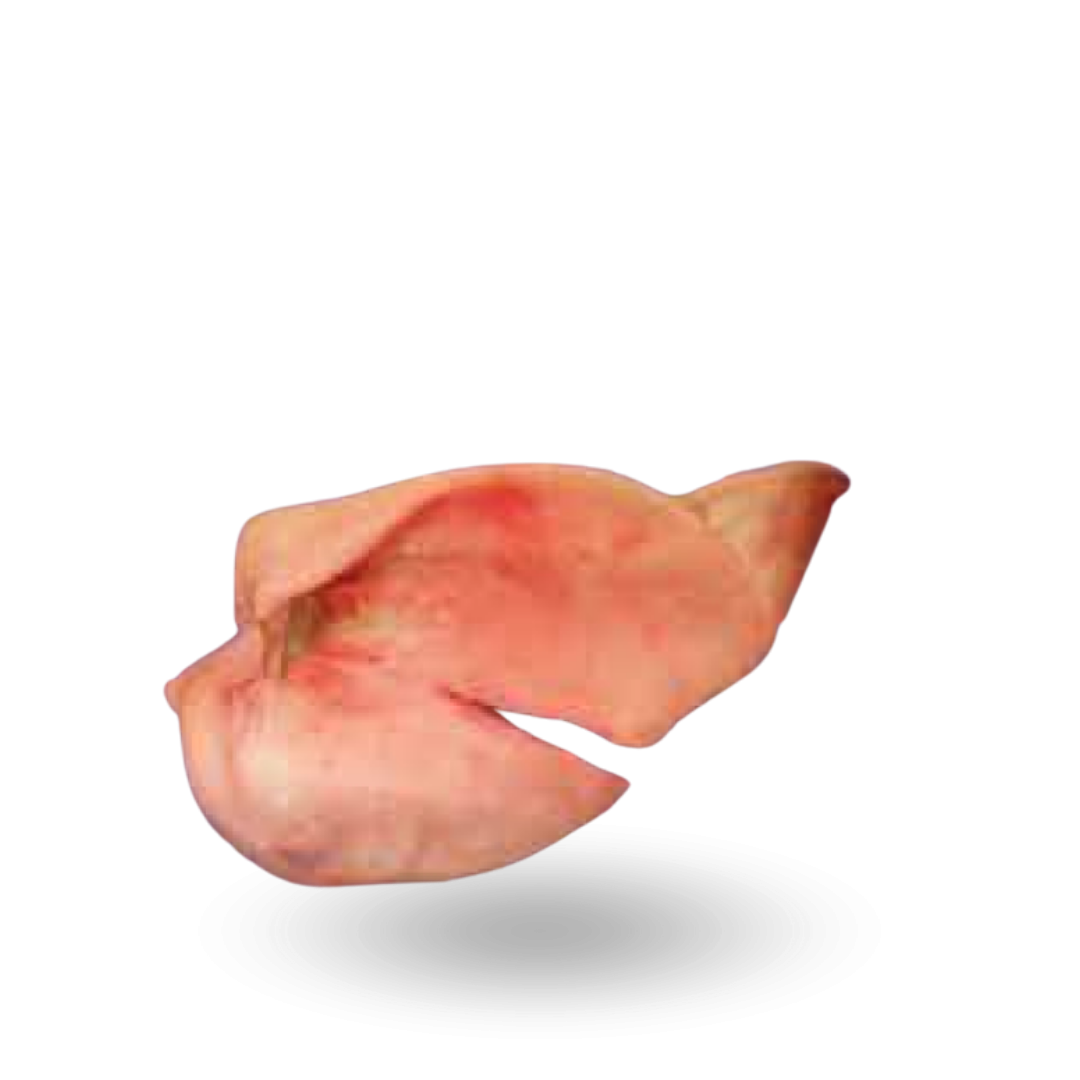 uszy wieprzowe z maciory kat. 3.png