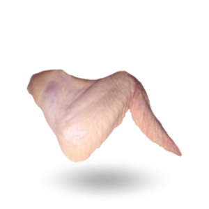 Light hen wings Skrzydło kura lekka.png