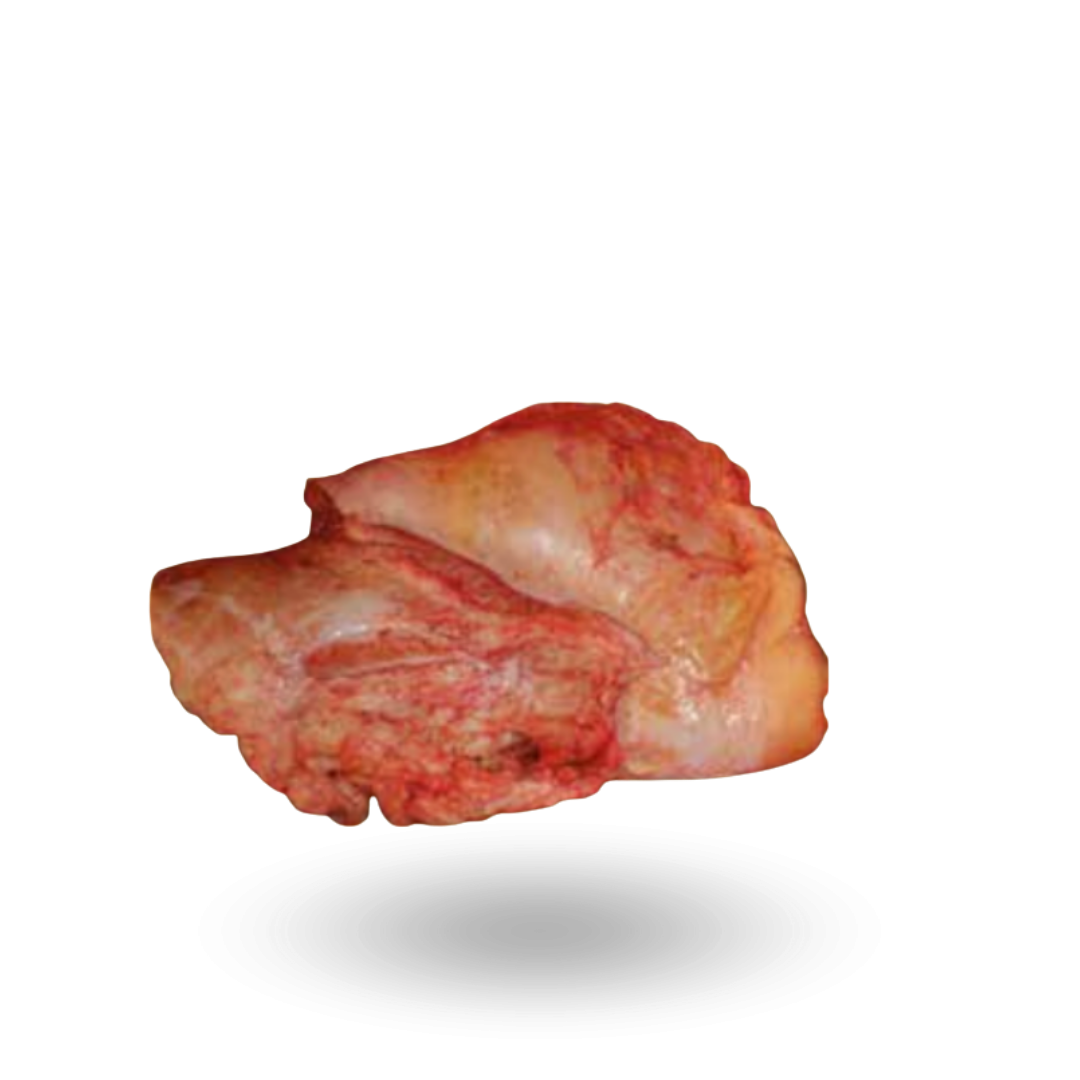 Wymiana wołowe kat. 3.png