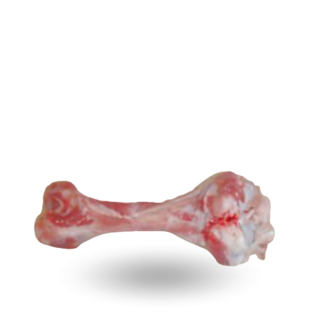 Pork femur bones Kości rurkowe z szynki.png