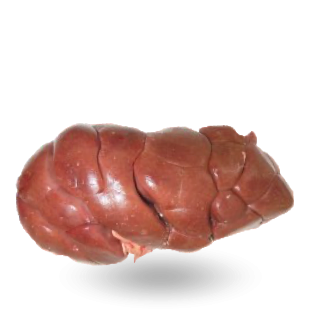 Beef kidneys_ Nerki.png