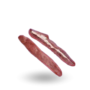 Śledziona wieprzowa.png