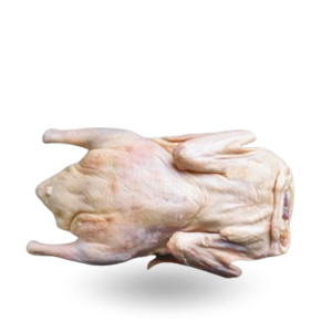 Goose breast Tuszka gęś.png