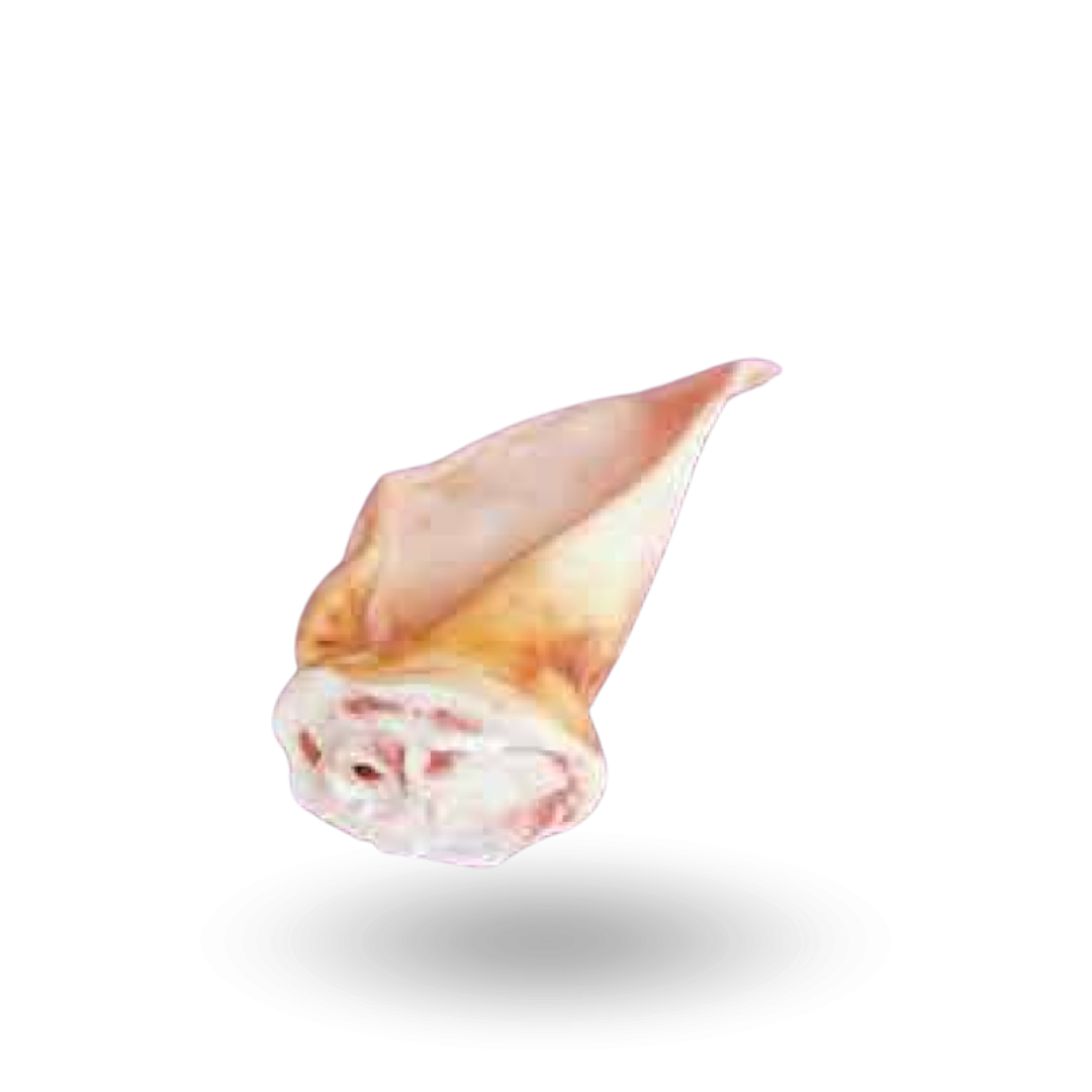 uszy wieprzowe kat. 3.png