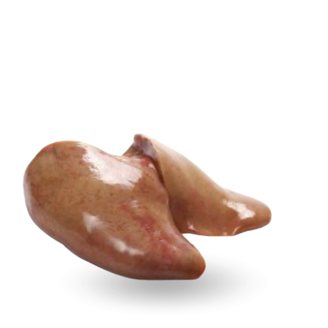 Goose liver Wątroba z gęsi.png