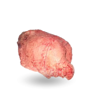 Beef lungs_ Płuca.png