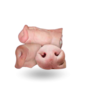 Ryjki wieprzowe kat. 3.png