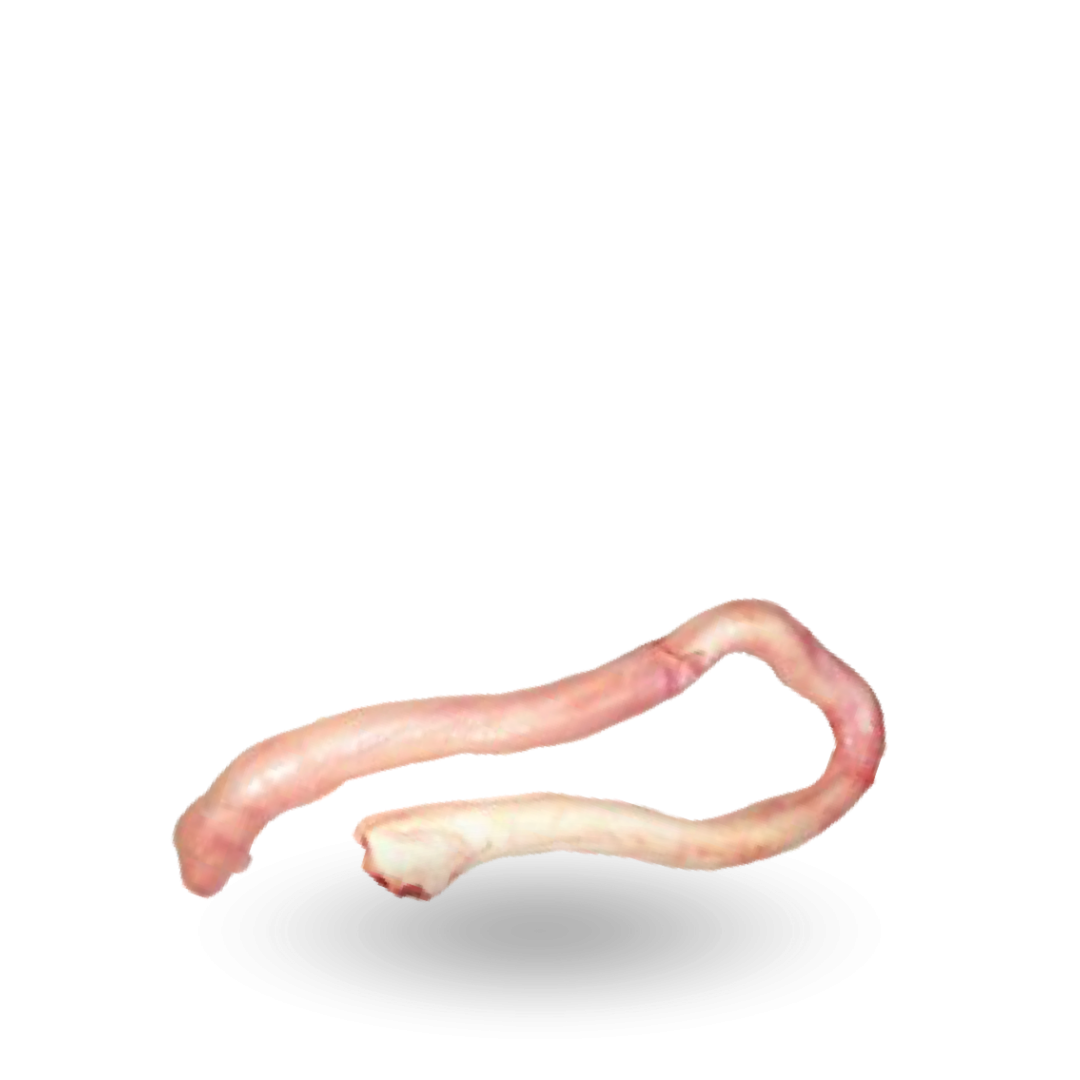 Beef pizzles_ Penisy.png