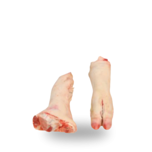 Pork hind feet Nogi tylne.png