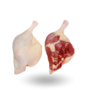Duck leg Noga z kaczki.png
